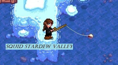 Step By Step Guide About Squid Stardew Valley Fishing in 2021