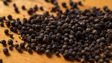 Black Pepper: A Spice that has powerful health Benefits