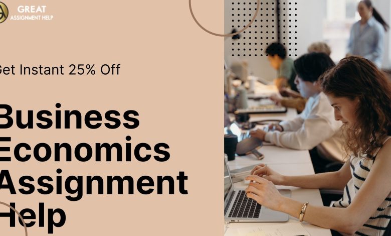 Business Economics Assignment Help